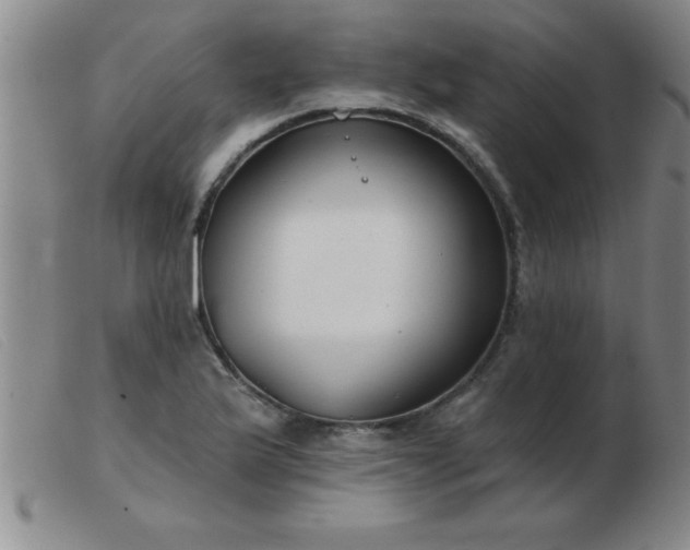 X0000103491175200809191915