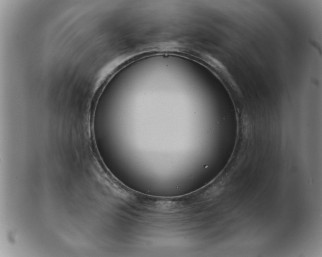 X0000103491176200809191915