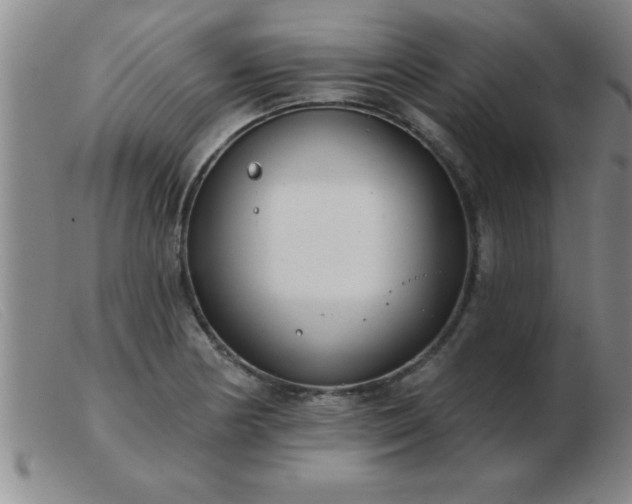 X0000103491178200809191915