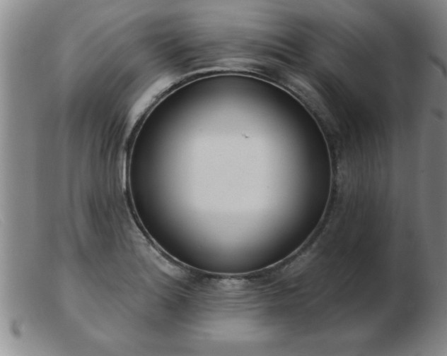 X0000103491180200809191915