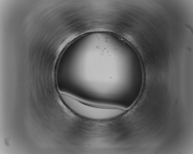 X0000103491181200809191915