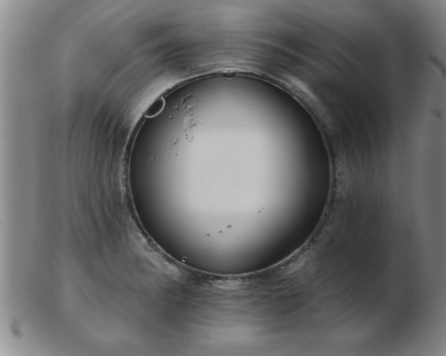 X0000103491182200809191915