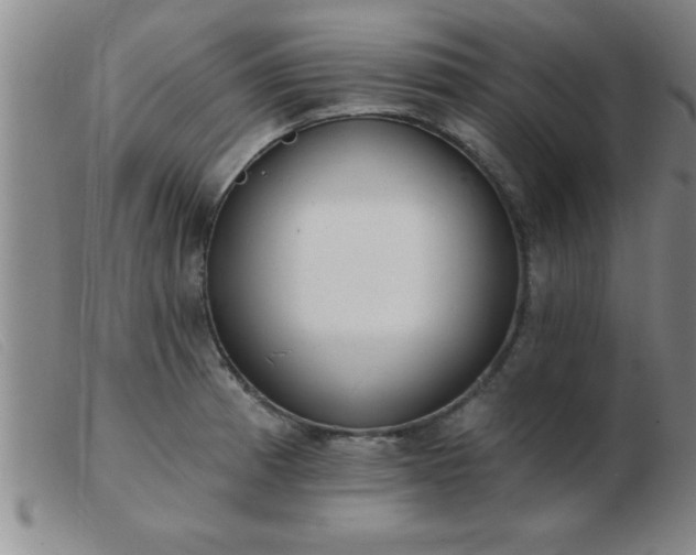 X0000103491185200809191915