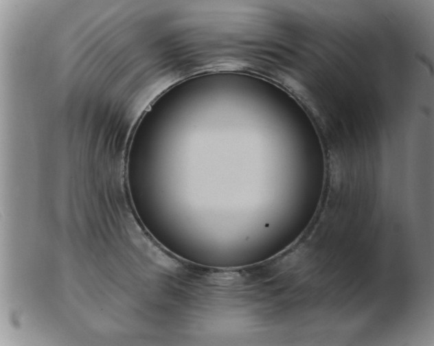 X0000103491186200809191915