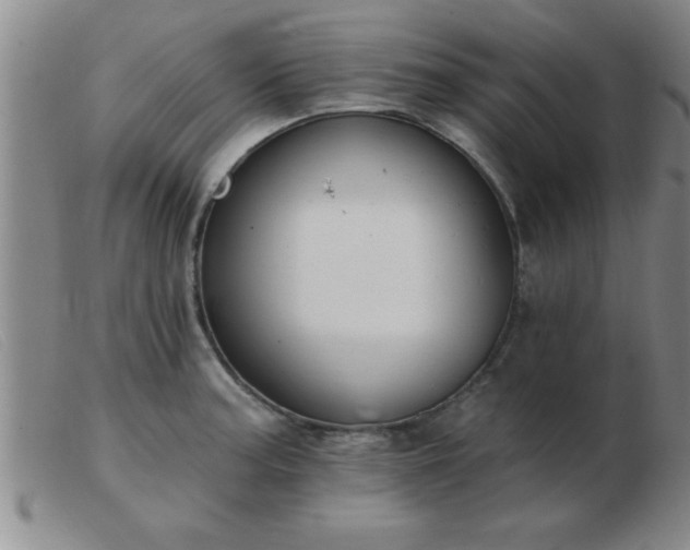 X0000103491187200809191915