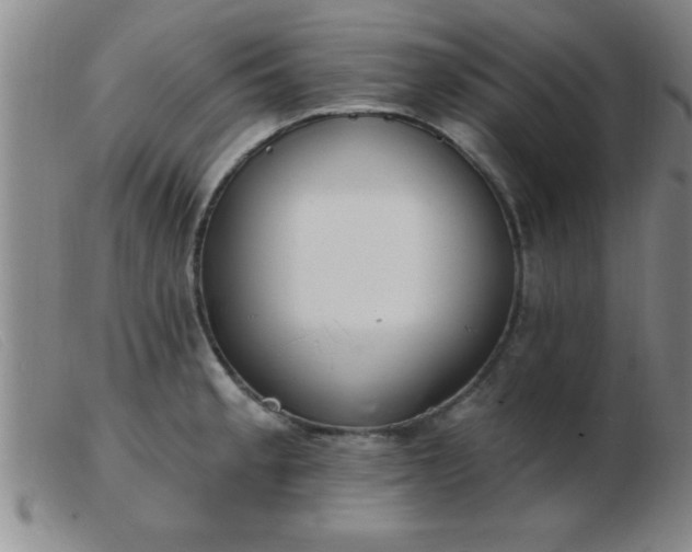 X0000103491189200809191915