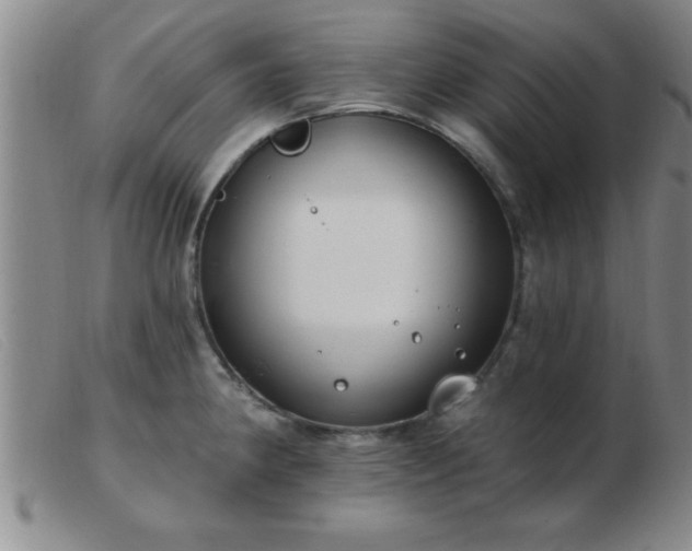 X0000103491190200809191915