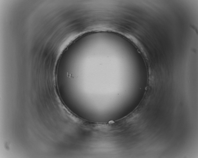 X0000103491191200809191915