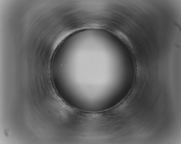 X0000103491192200809191915