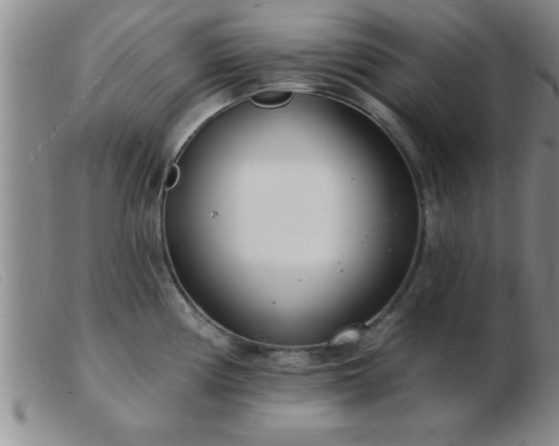 X0000103491194200809191915