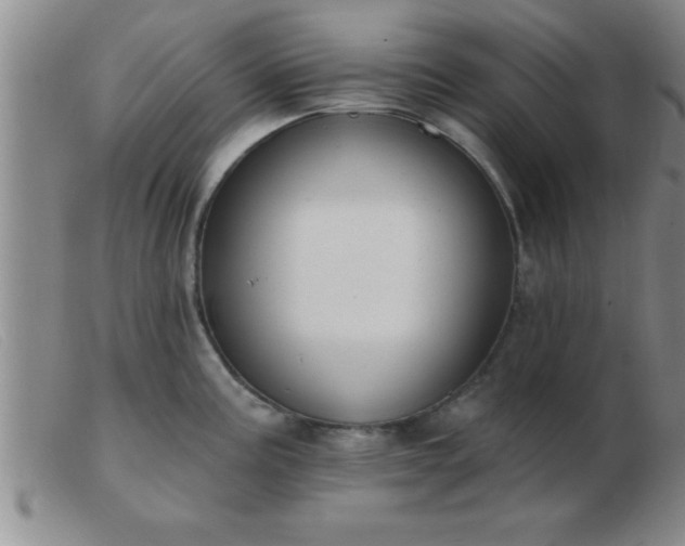 X0000103491195200809191915