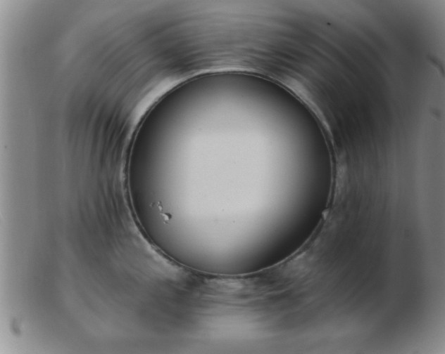 X0000103491197200809191915