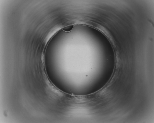 X0000103491198200809191915