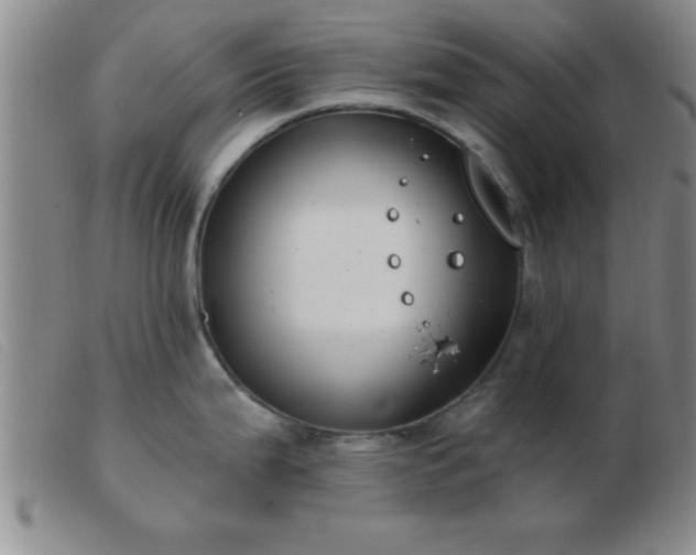 X0000103491199200809191915