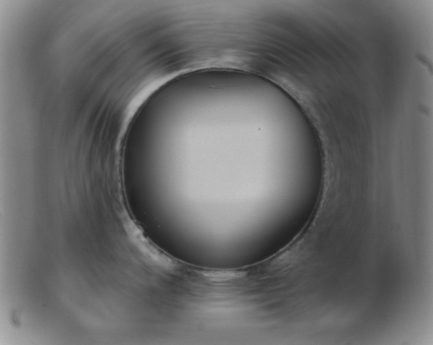 X0000103491200200809191915