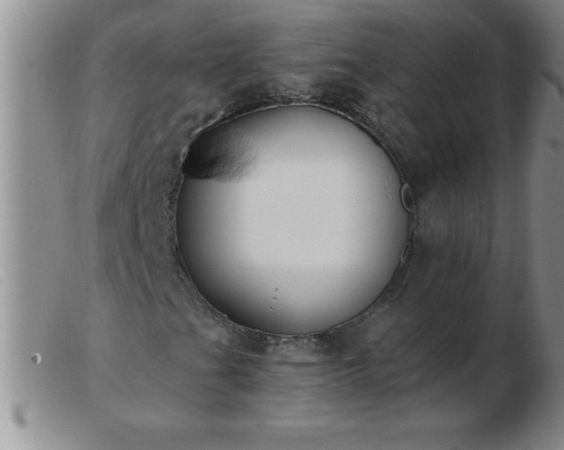 X0000103491201200809191914