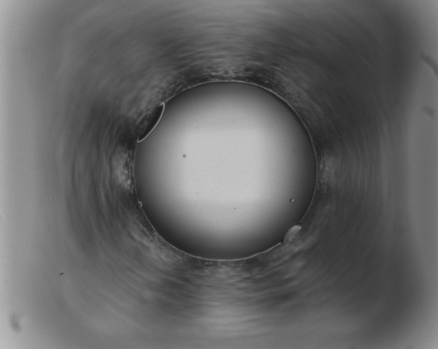 X0000103491202200809191914