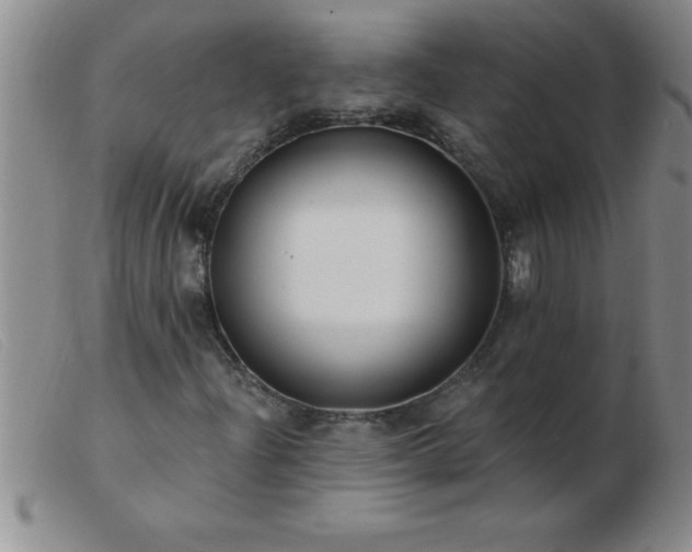 X0000103491204200809191914