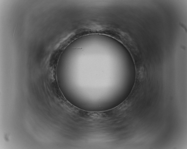 X0000103491205200809191914