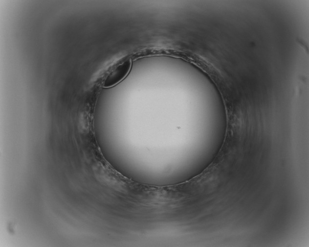 X0000103491207200809191914