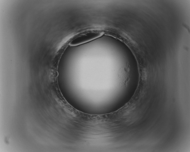 X0000103491208200809191914