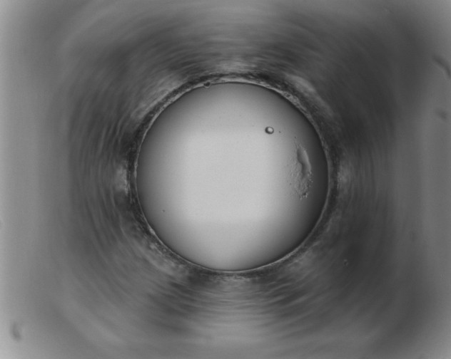 X0000103491209200809191914