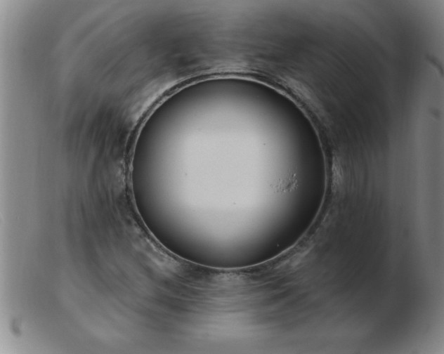 X0000103491212200809191914