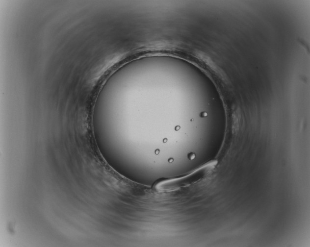 X0000103491213200809191914