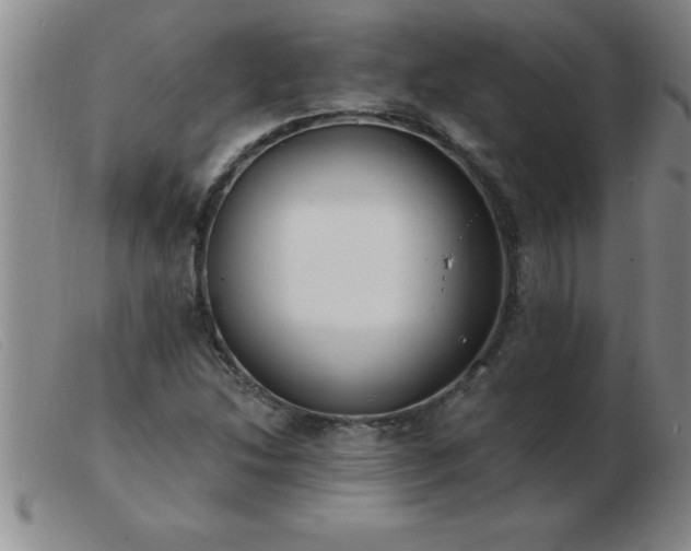 X0000103491214200809191914