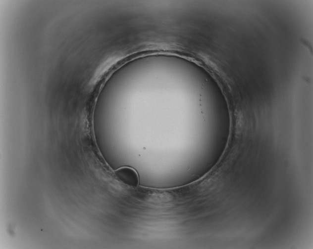 X0000103491215200809191914