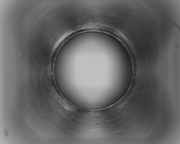 X0000103491216200809191914