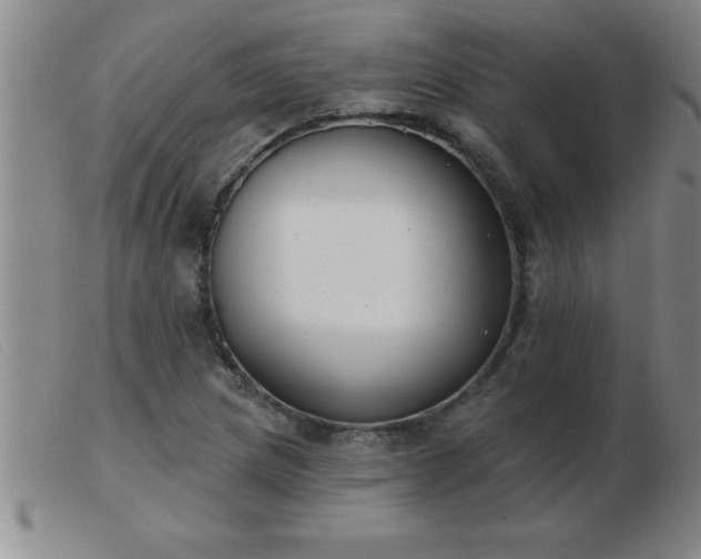 X0000103491217200809191914