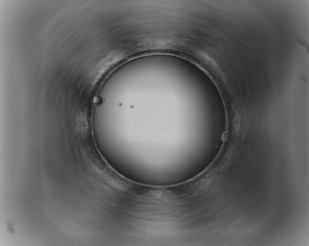 X0000103491218200809191914