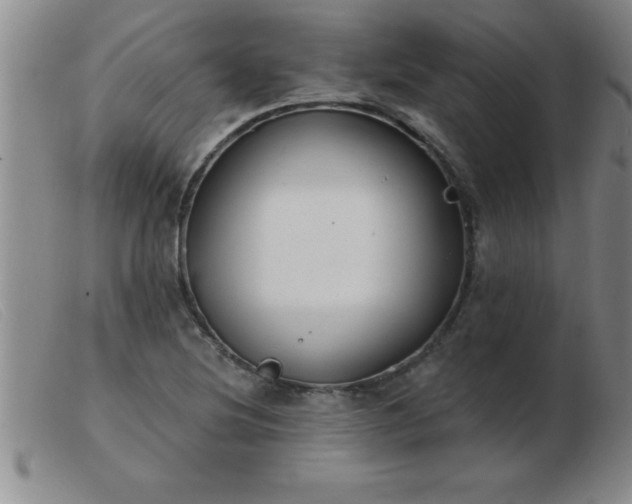 X0000103491220200809191914