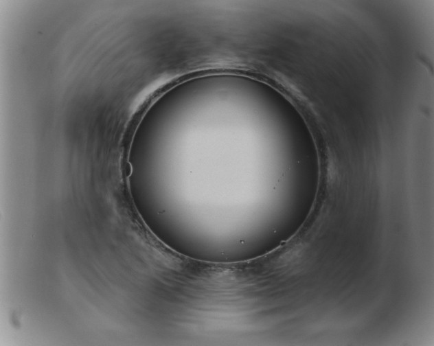 X0000103491222200809191914