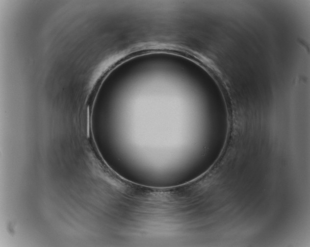 X0000103491223200809191914