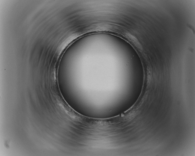 X0000103491226200809191914