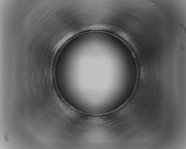 X0000103491229200809191914