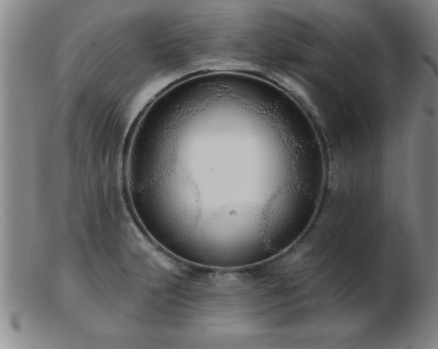 X0000103491231200809191914