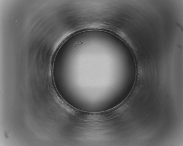 X0000103491232200809191914