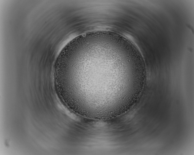 X0000103491235200809191914