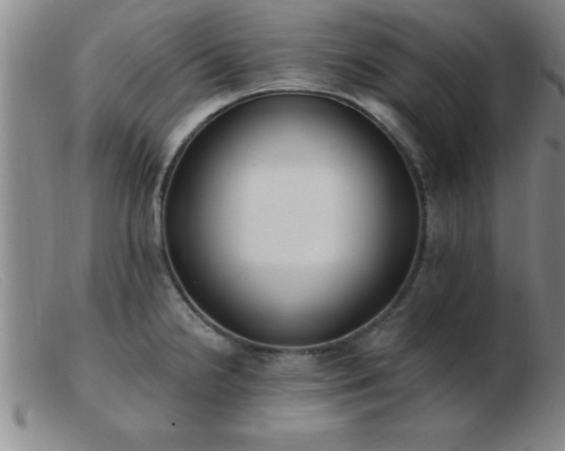 X0000103491238200809191914