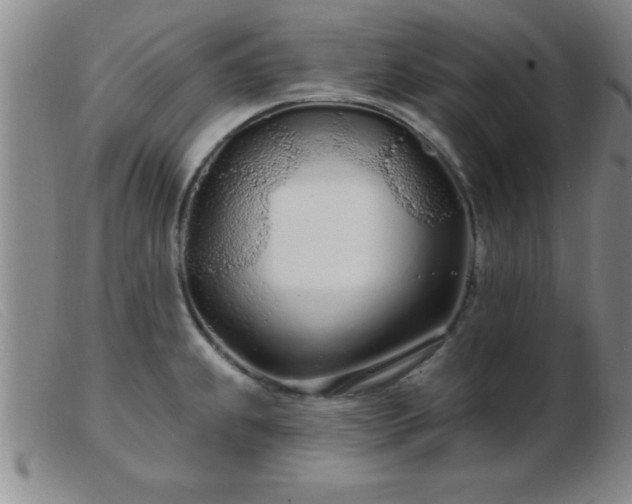 X0000103491239200809191915