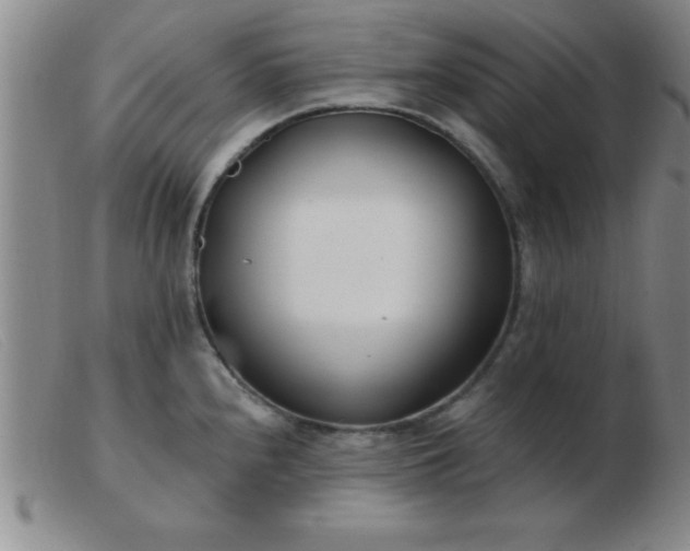 X0000103491240200809191915