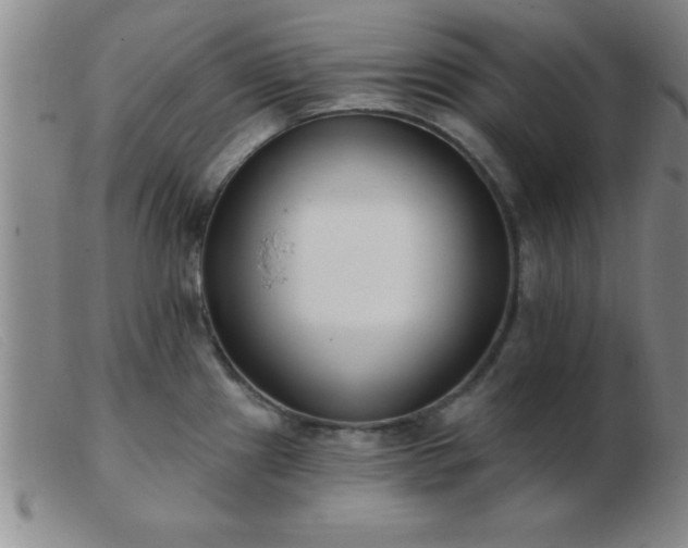 X0000103491241200809191915