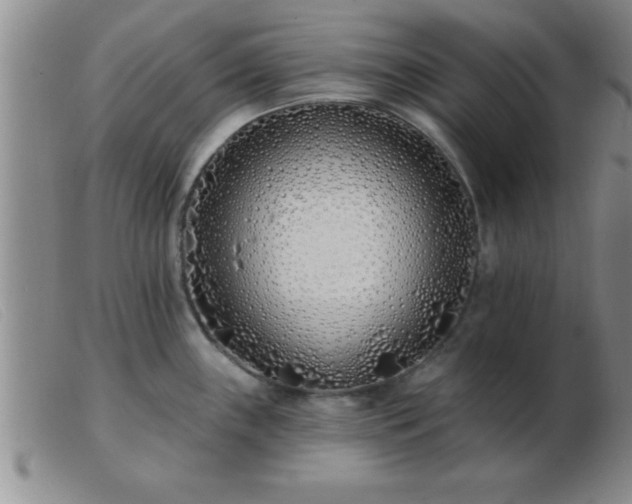 X0000103491243200809191915