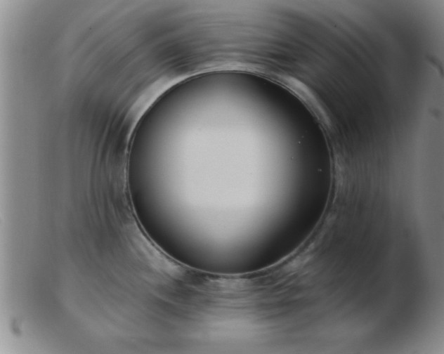 X0000103491244200809191915