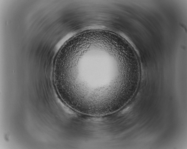 X0000103491245200809191915