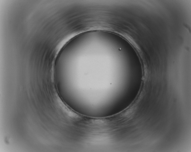 X0000103491246200809191915