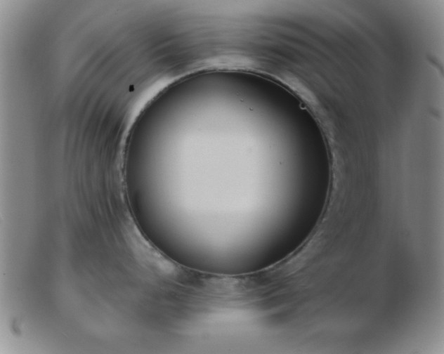 X0000103491248200809191915